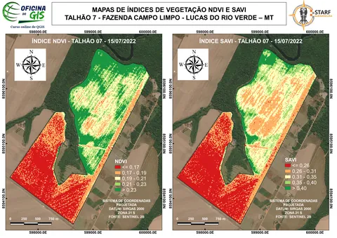 Índices de vegetação (NDVI e SAVI)